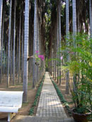 Consultation Image 2