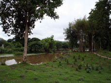 The River Garden